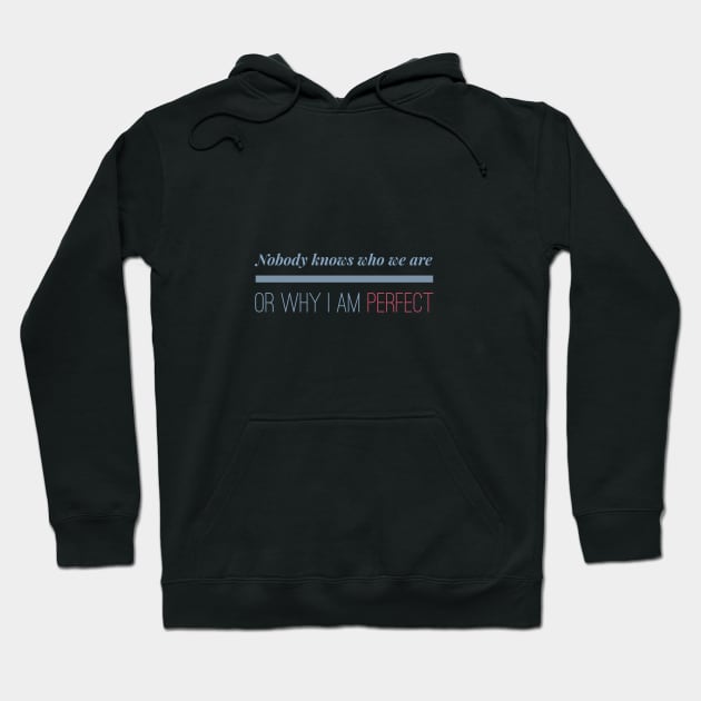 Nobody knows who we are or why I Am Perfect Motivation Inspiration Hoodie by Cubebox